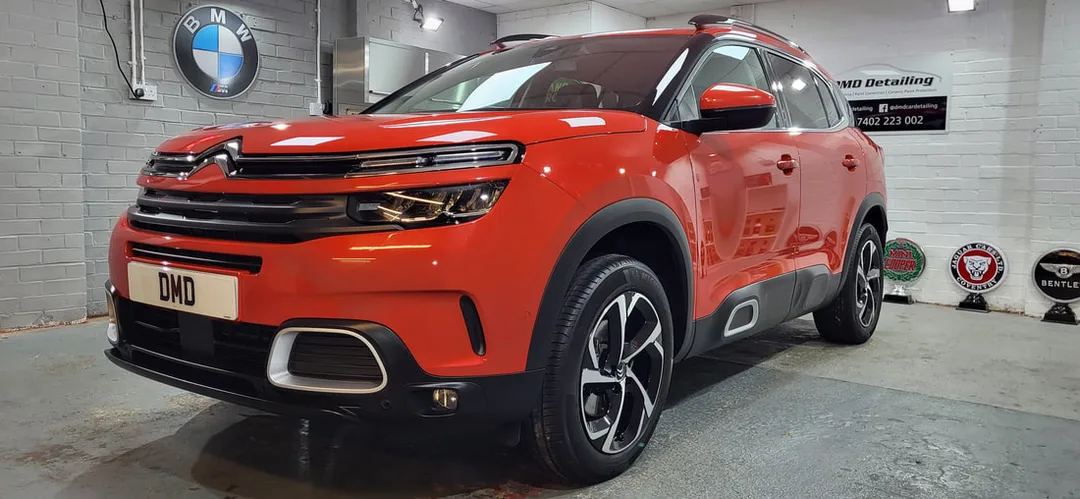 Ceramic Coating Paisley