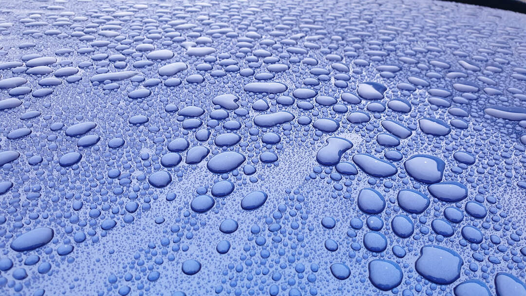 Car Paint Protection