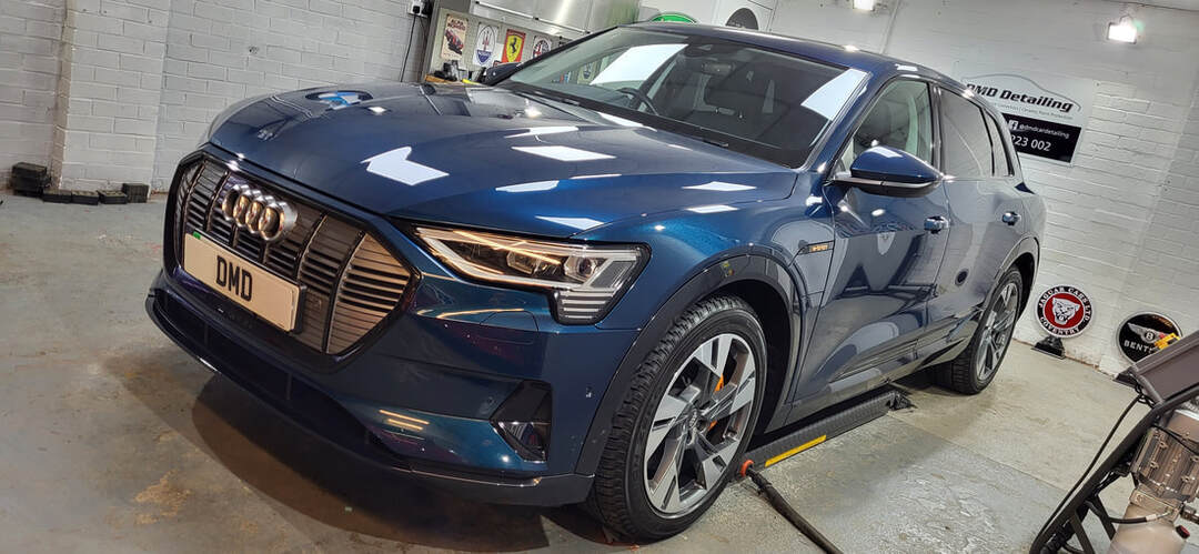 Paint Correction Paisley