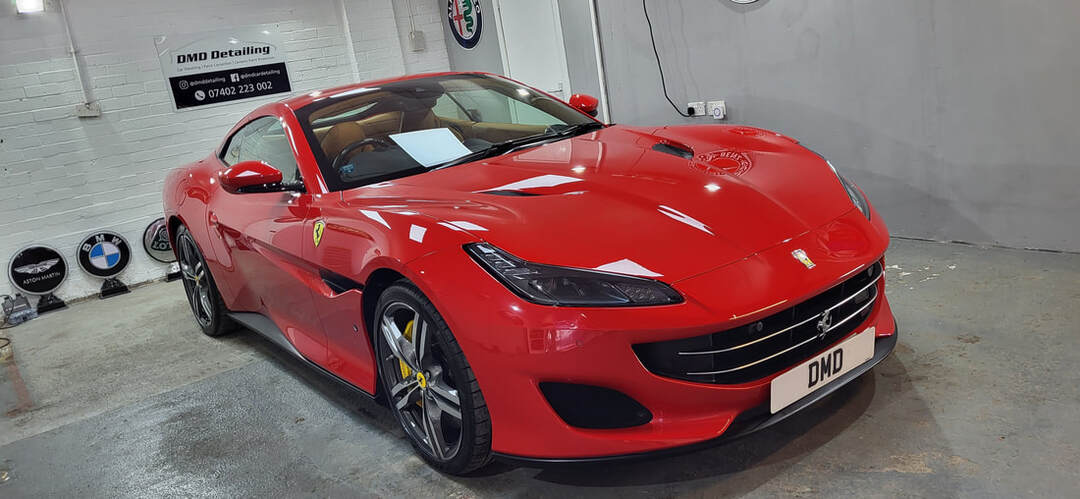 Paint Correction Paisley